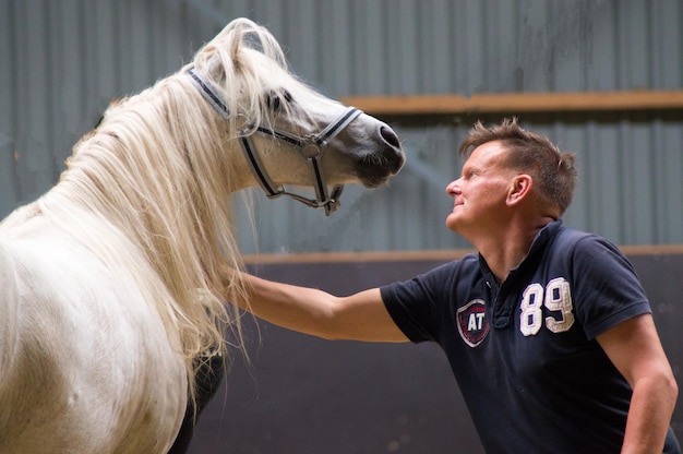 スタイルで白い馬に触れる男