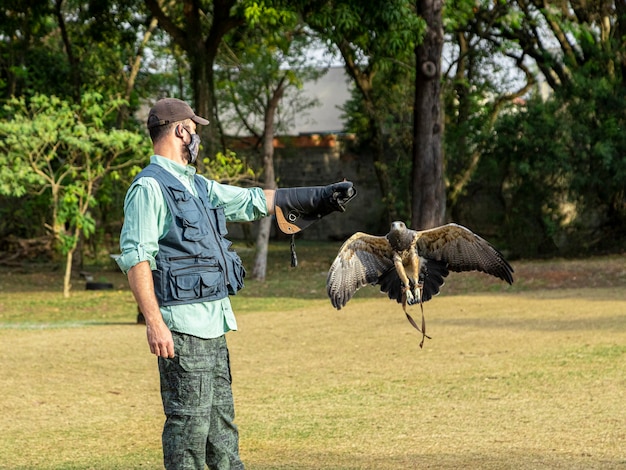 Man training an eagle blackchested