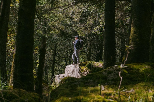 Man traveler with backpack in the forest