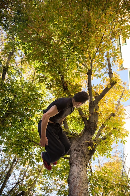 Photo man in tree