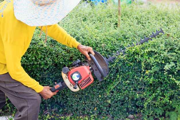 A man trimming hedge at the street