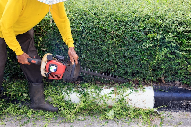 A man trimming hedge at the street