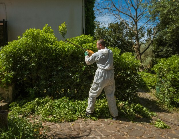 Photo man trimming an hedge