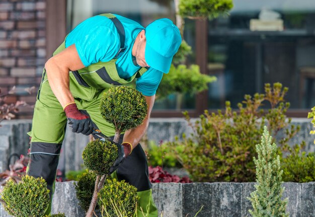 Foto l'uomo taglia la pianta in giardino