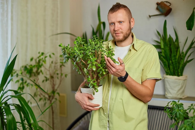Man tuinman houdt Crassula pot thuis in de hand en zorgt voor kamerplanten