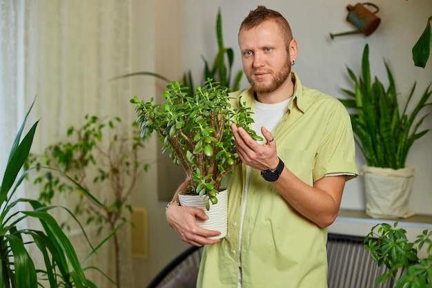 Man tuinman houdt crassula pot thuis in de hand en zorgt voor kamerplanten