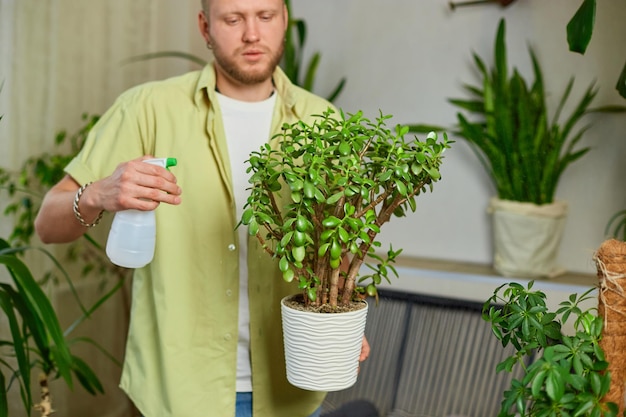 Man tuinman sproeien Crassula pot water thuis