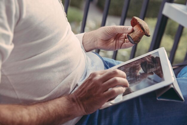 Man using tablet for researching informations about collected mushrooms, partial view