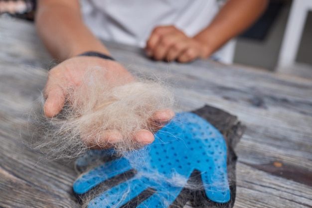 Man verzorgende kat met speciale handschoenen Dierenverzorging