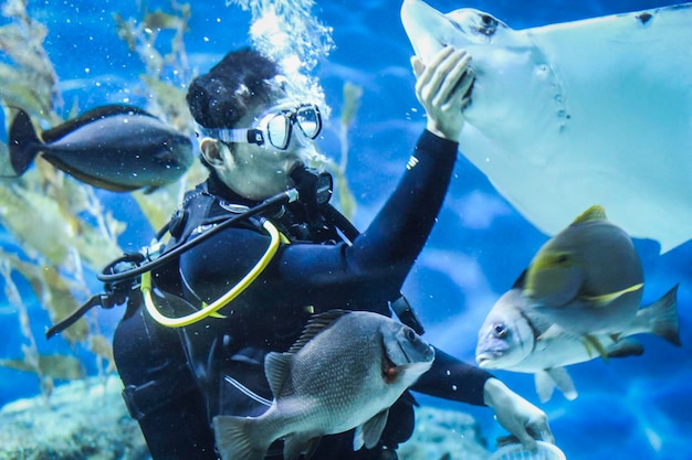 Man voedt stingray zwemmen in aquarium