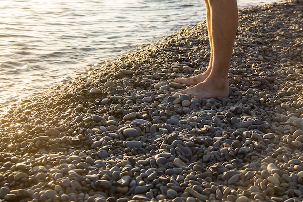 夕日の小石のビーチで一人歩きの男