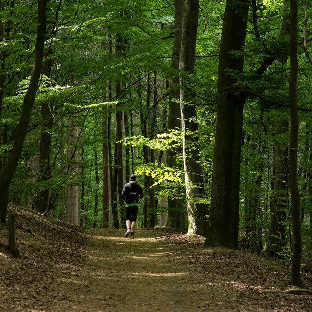 Man walking amidst trees in forest