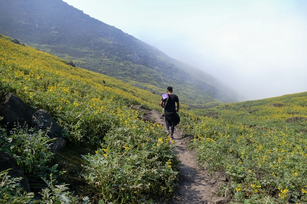 山の谷の花の風景の中を歩く男