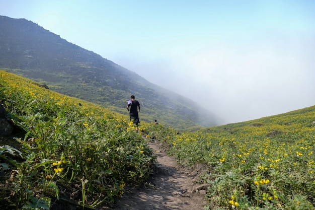 山の谷の花の風景の中を歩く男