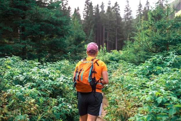 Man walking in the forest. Active spending time. Relax and leisure time.