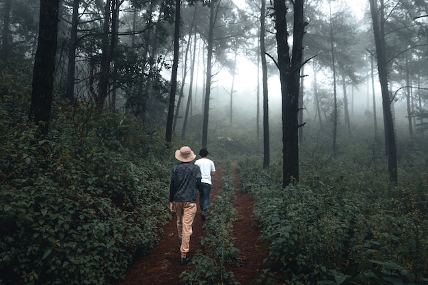 Man walking in the forest in the rainy season