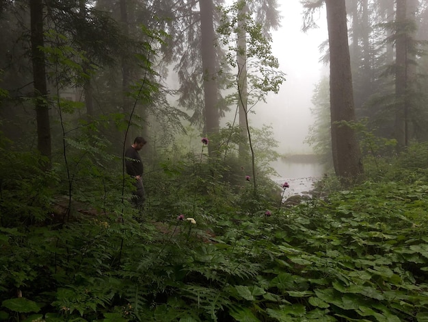 Man walking in the forest
