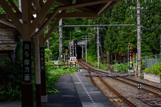 樹木のそばで鉄道線路を歩く男