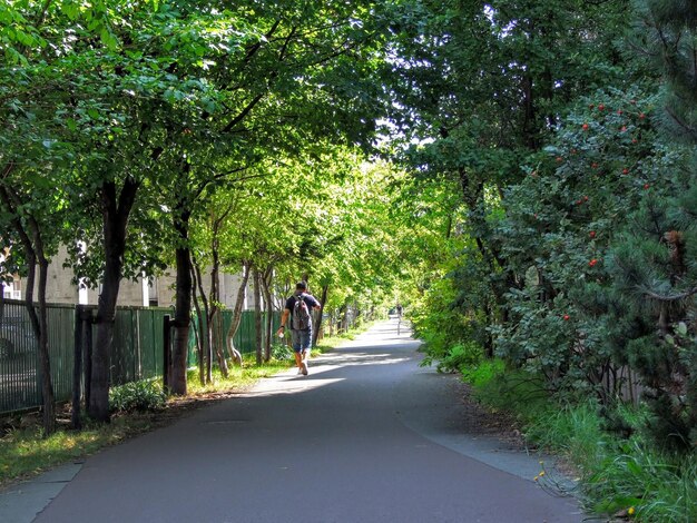 Photo man walking on road along trees