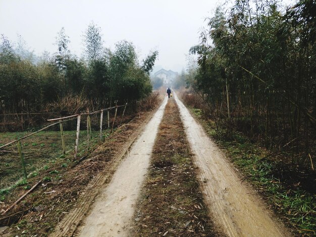 Photo man walking on road in forest