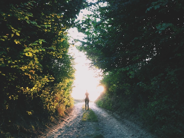 Man walking on road