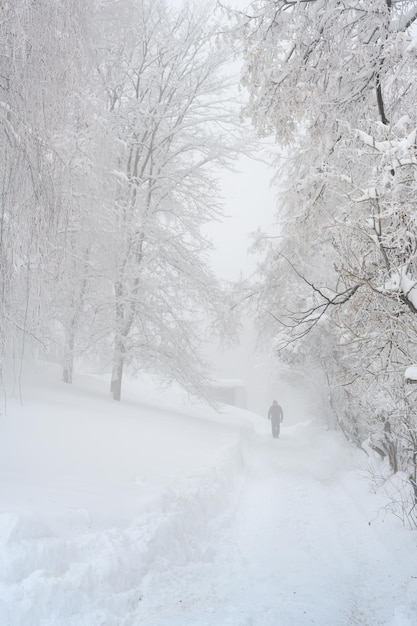 Uomo che cammina nella tempesta di neve nella foresta