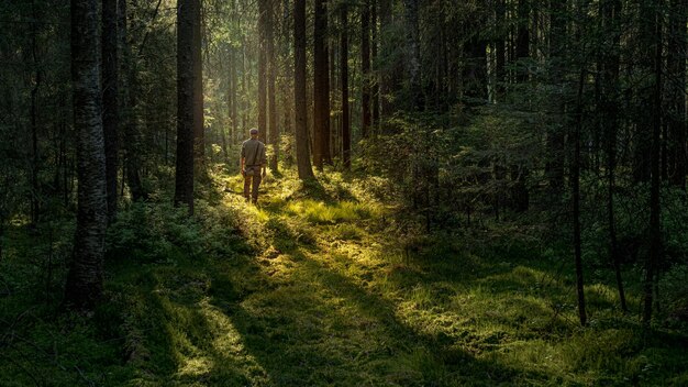 Foto uomo che cammina nel bosco illuminato dal sole