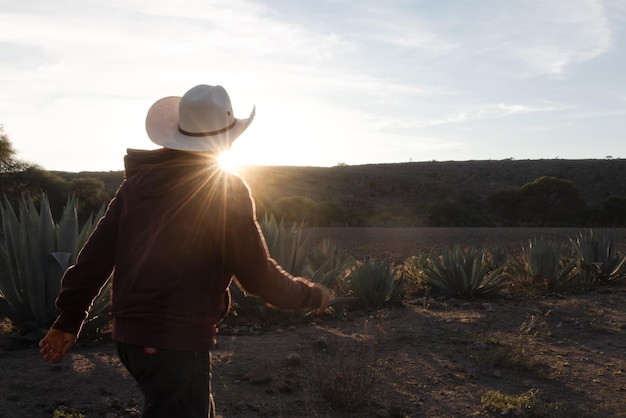 멕시코 의 농장 을 걸어다니는 한 사람 이  에서 일 하기 위해 고군분투 하고 있다