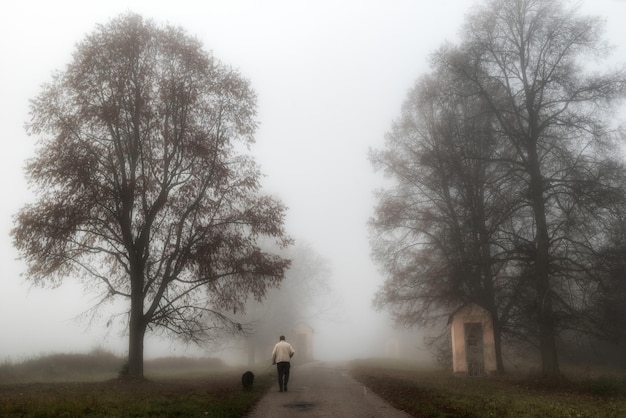 A man walking with a dog on a road in foggy autumn park in the morning