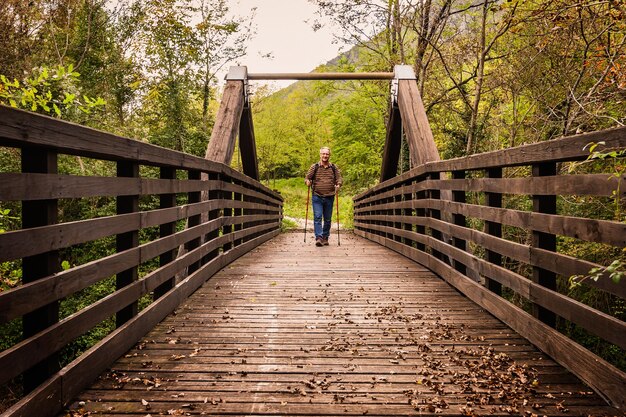 Man walking on wooden footbridge in forest