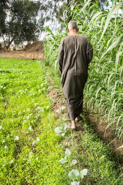 A man walks through a field in a traditional Egyptian village