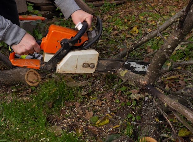 Foto un uomo stava bevendo un albero con una motosega. rimuove le piantagioni in giardino da vecchi alberi, raccoglie legna da ardere.