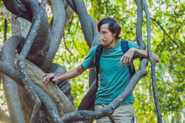 Uomo che guarda le liane tropicali nelle foreste tropicali umide