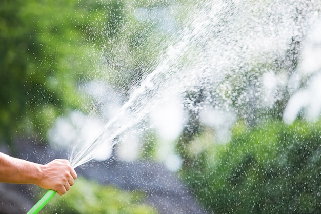 화창한 날에 호스에서 정원에 물을주는 남자