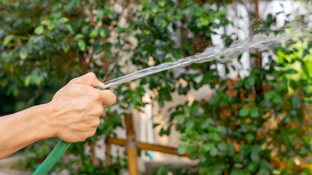 男は植物の背景に水をまきます。