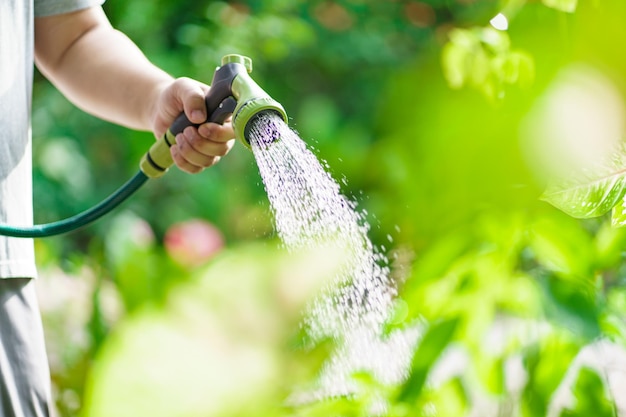 Man watering plants in his garden Urban gardening watering fresh vegetables nature and plants care