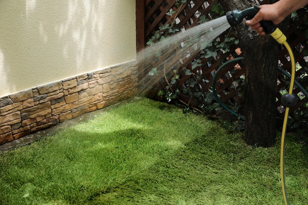 Man watering unrolled grass sods at backyard closeup