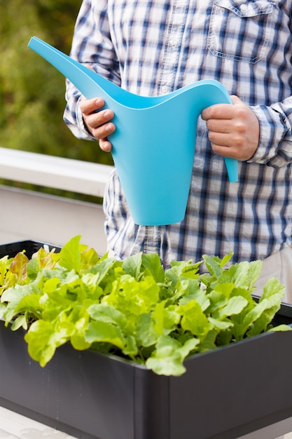 Man watering vegetable garden in container on balcony