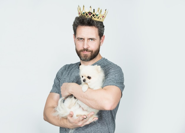 Man wearing golden crown of king hold puppy dog handsome bearded guy king isolated studio gray backg