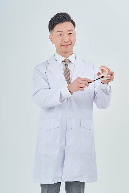 A man in a white coat with a dental model