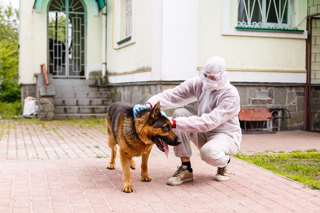 白い防護服を着た男、眼鏡、手袋、マスクを着用しています。牧羊犬と一緒に歩きます