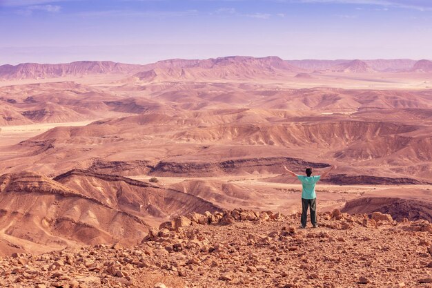 A man with arms in the air stands on the edge of a cliff and looks at a desert landscape