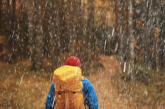 man with  backpack a view from the back, hiking in the forest, autumn landscape, the back of  tourist with a backpack