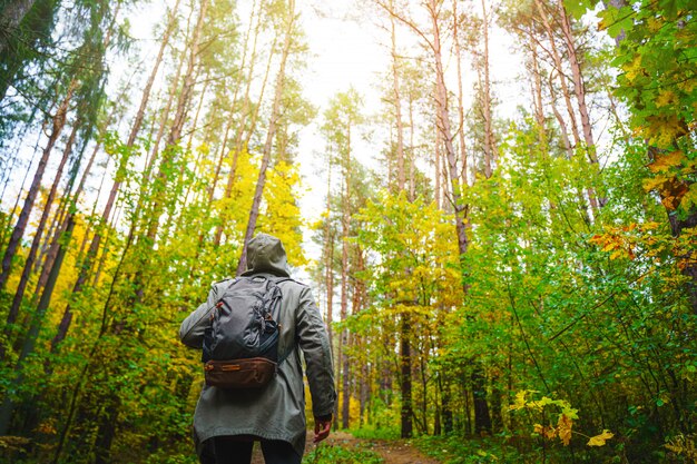 A man with backpack walks in the amazing autumn forest.  