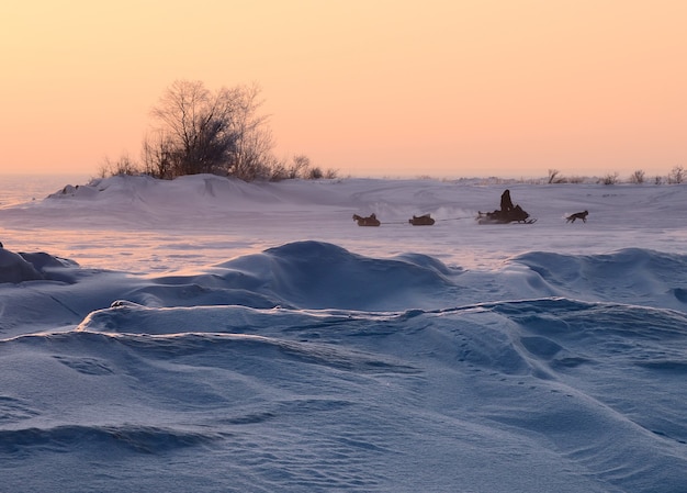 A man with children riding on a snow field