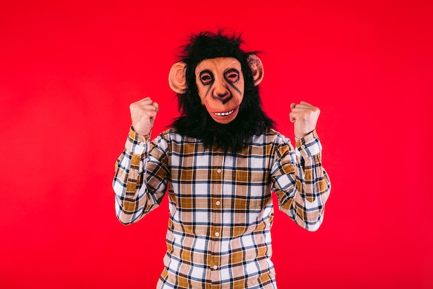 Man with chimpanzee monkey mask and plaid shirt clenching his fists on red background