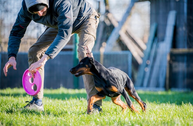 Foto uomo con il cane sul campo