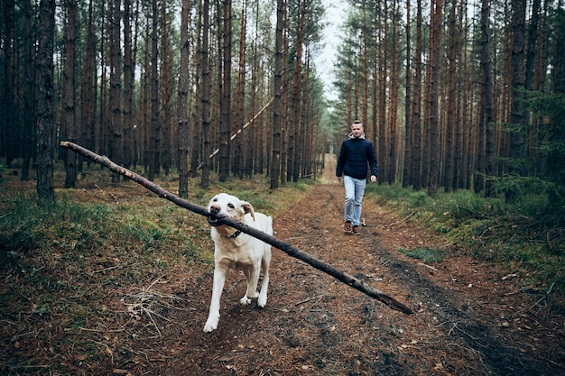Photo man with dog in the forest