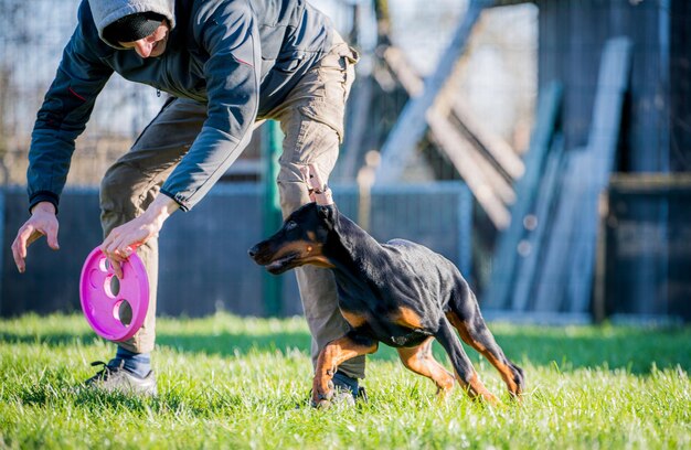 写真 野原で犬を飼っている男