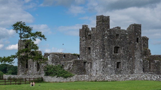 Man with dog resting on grass in front oa an ancient abbey in county Meath Ireland